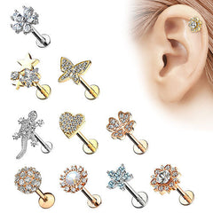 Collection image for: Piercing Arten