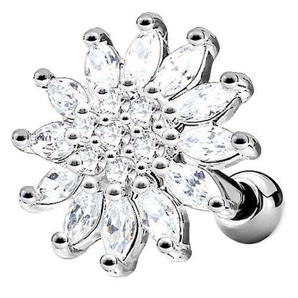 JA19175 - Silber