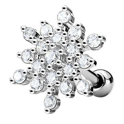 JA19176 - Silber
