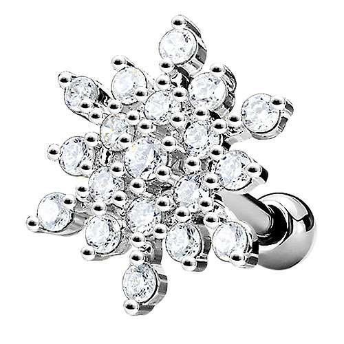 JA19176 - Silber