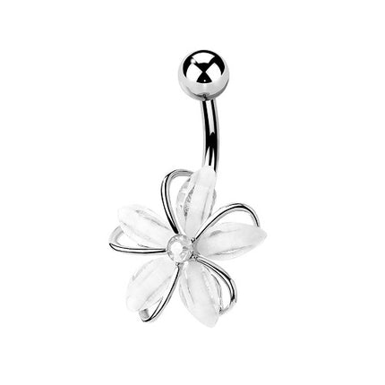 N21661 - Silber