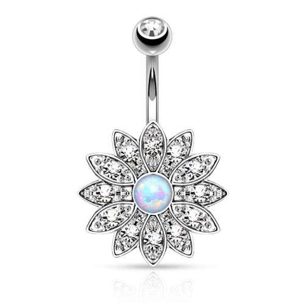 N05164 - Silber / Clear
