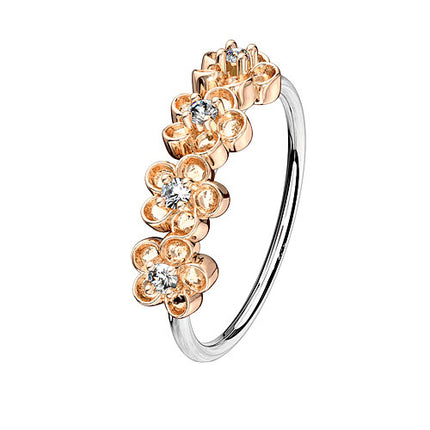 NOH31 | Rosegold