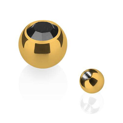 TBG03 ( Gold )  - 1,6mm x 5mm / Schwarz